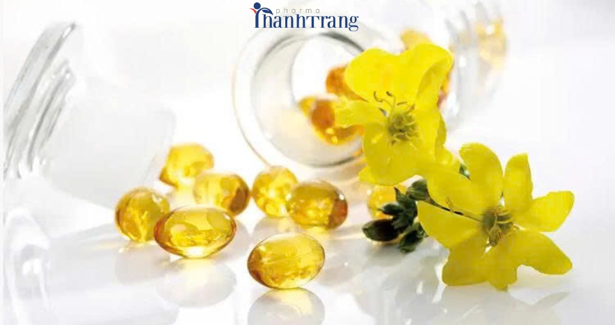 Uống Tinh Dầu Hoa Anh Thảo Đúng Cách – Lời khuyên từ chuyên gia